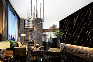 ຮູບແບບການຕົບແຕ່ງ PVC / ຮູບເງົາສັດລ້ຽງ